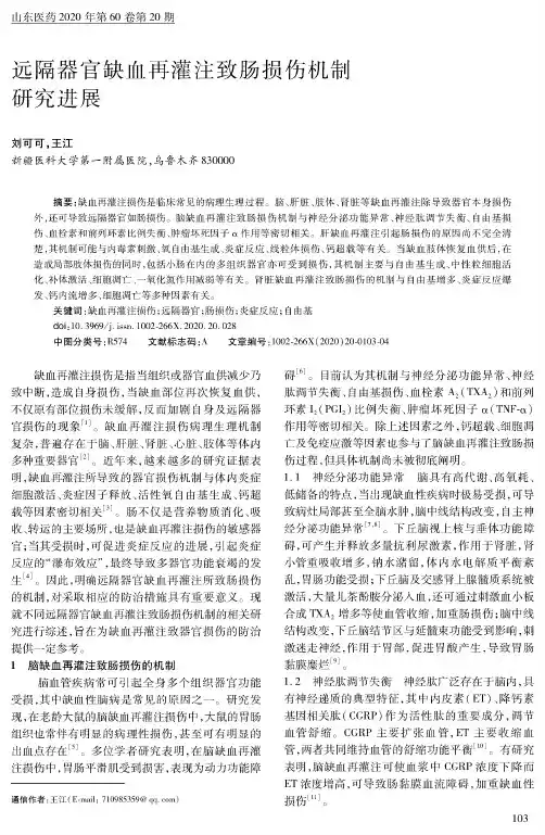 远隔器官缺血再灌注致肠损伤机制研究进展