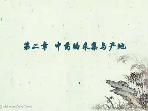 中药学总论(二、三章)
