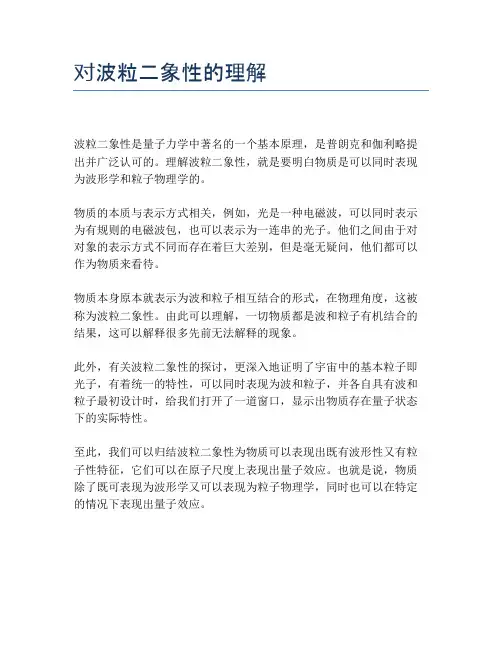 对波粒二象性的理解