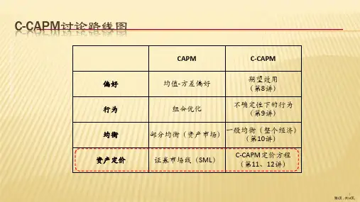 CCAPM及其讨论金融经济学课件