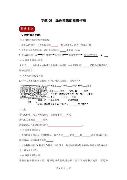 中考生物总复习知识点训练解析-专题06 绿色植物的蒸腾作用