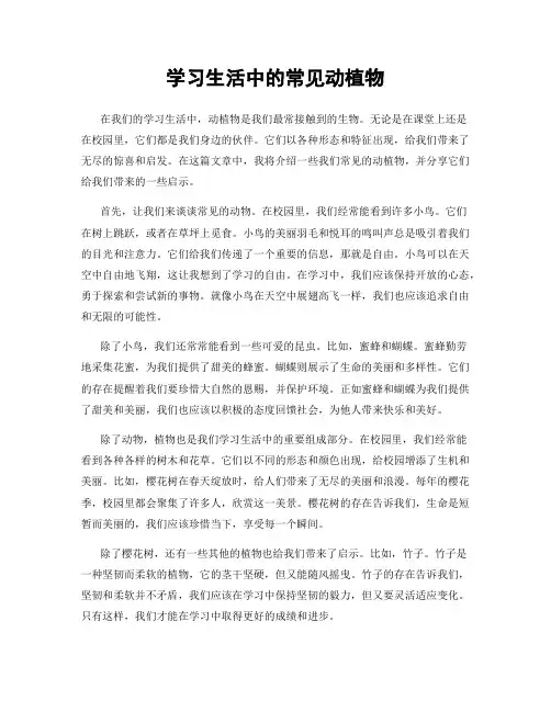 学习生活中的常见动植物