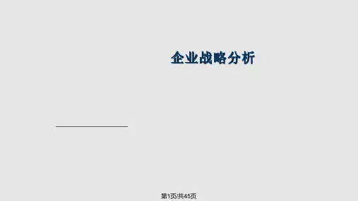 阿里巴巴企业战略分析PPT课件