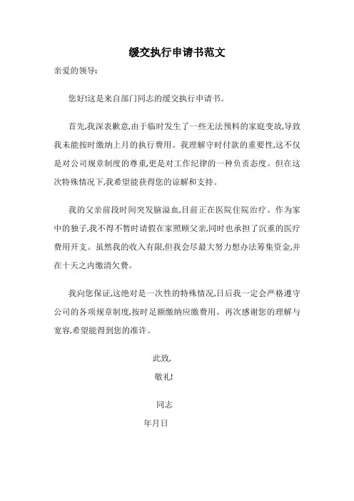 缓交执行申请书范文