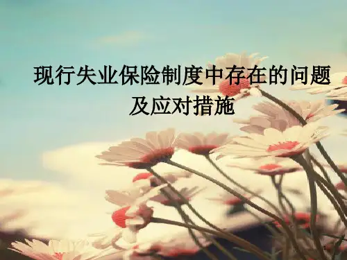 现行失业保险制度中存在的问题及应对措施-文档资料
