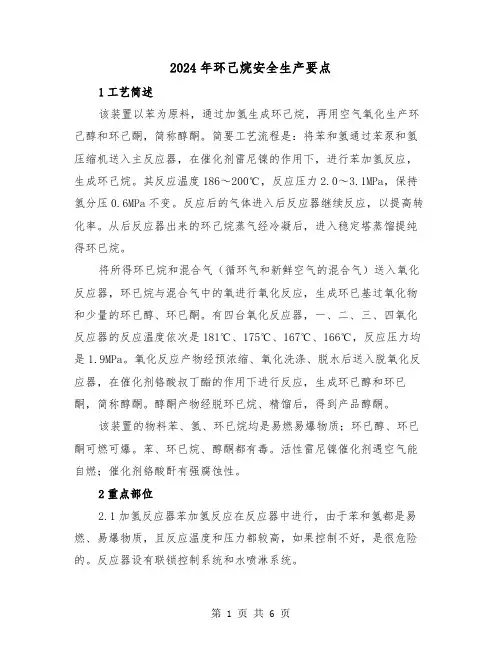 2024年环己烷安全生产要点(2篇)