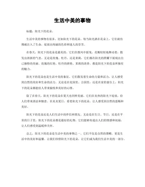 生活中美的事物