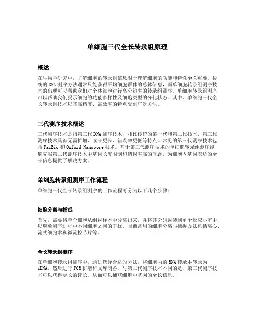 单细胞三代全长转录组原理