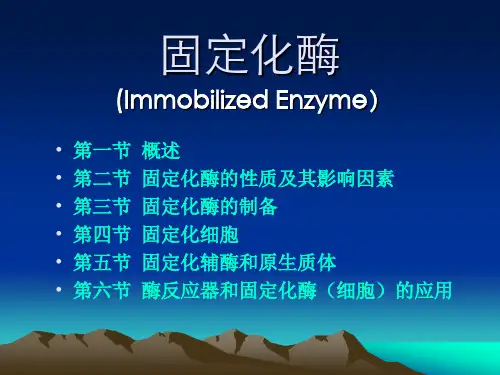 固定化酶