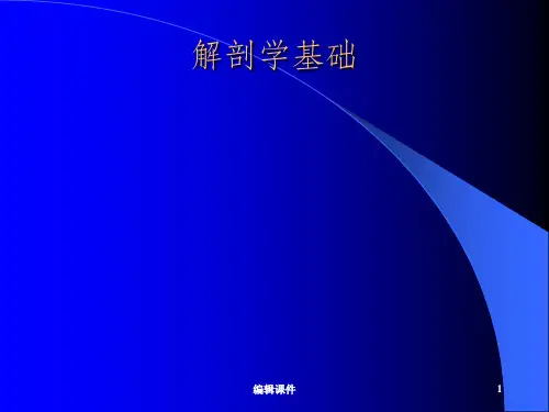 解剖学基础绪论ppt课件