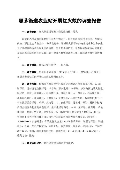 思茅街道农业站开展红火蚁的调查报告