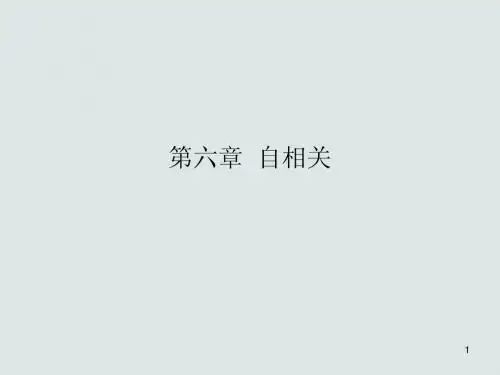 计量经济学 第六章  自相关