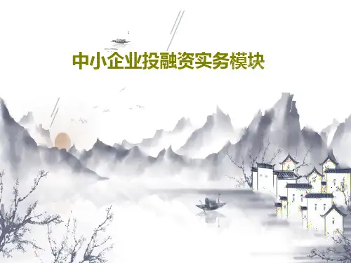 中小企业投融资实务模块73页PPT