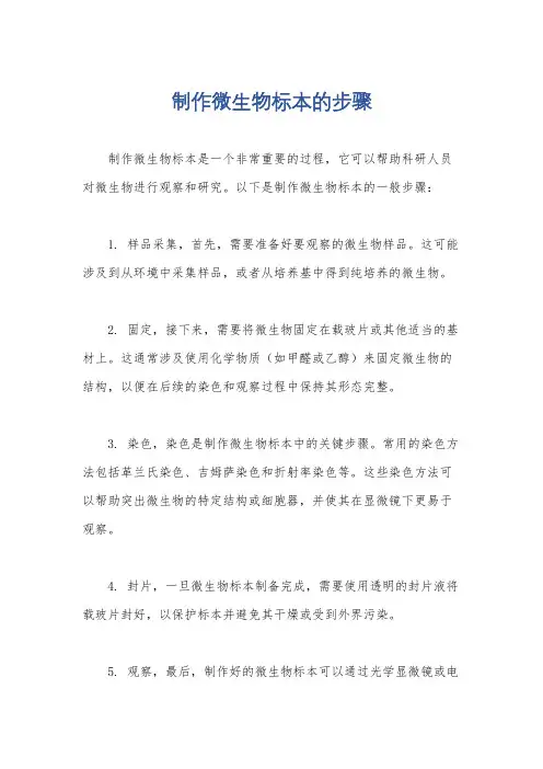 制作微生物标本的步骤