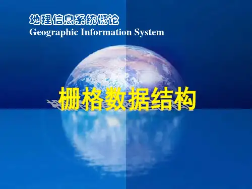 栅格数据结构