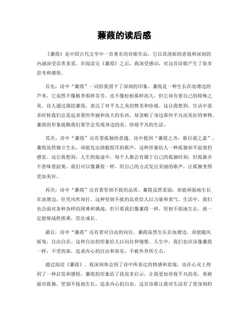 蒹葭的读后感