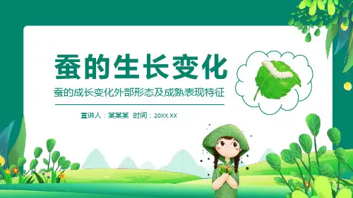 蚕的成长变化外部形态及成熟表现特征PPT
