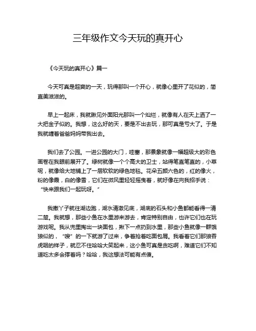 三年级作文今天玩的真开心