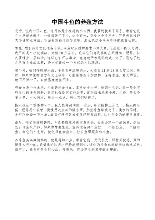 中国斗鱼的养殖方法