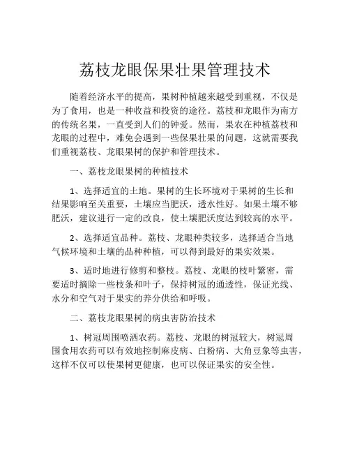 荔枝龙眼保果壮果管理技术