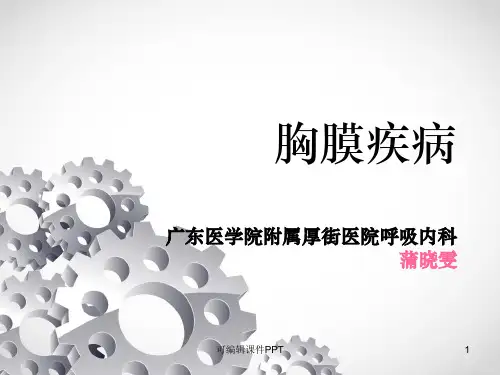 胸膜疾病ppt课件