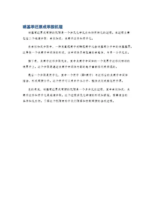 硝基苯还原成苯胺机理
