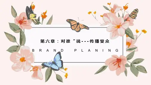 传播学第六章