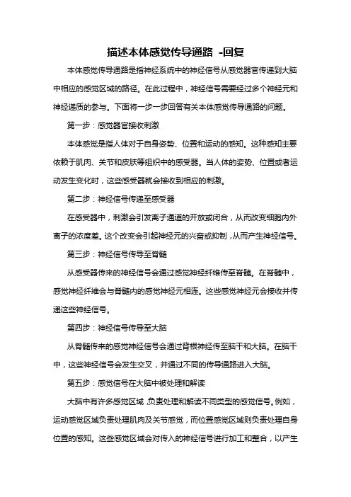 描述本体感觉传导通路 -回复