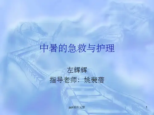中暑的急救与护理ppt课件