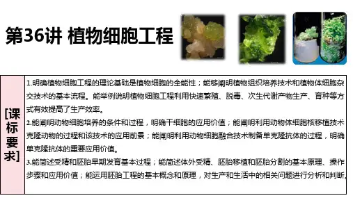 高三生物一轮复习课件植物细胞工程