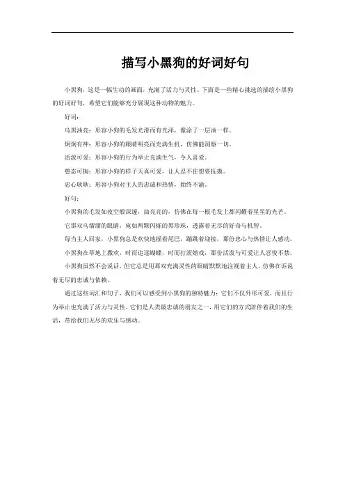 描写小黑狗的好词好句
