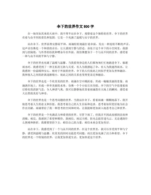 伞下的世界作文800字