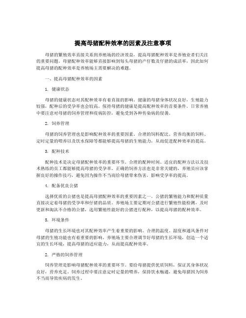 提高母猪配种效率的因素及注意事项