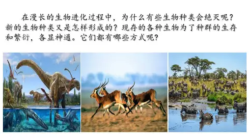 济南版八年级下册生物第一章 第四节 生物进化的原因(课件)