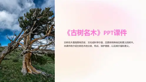 《古树名木》课件