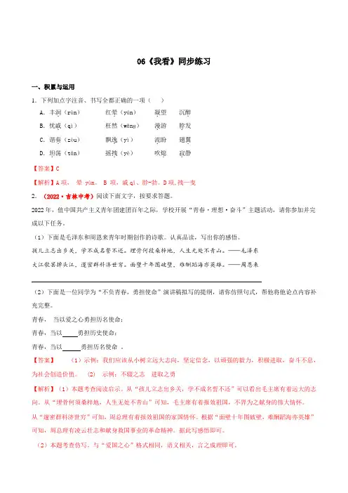第6课《我看》(同步练习)-2024-2025学年九年级语文上册同步备课系列(部编版)(解析版)