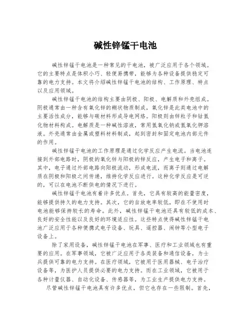 碱性锌锰干电池