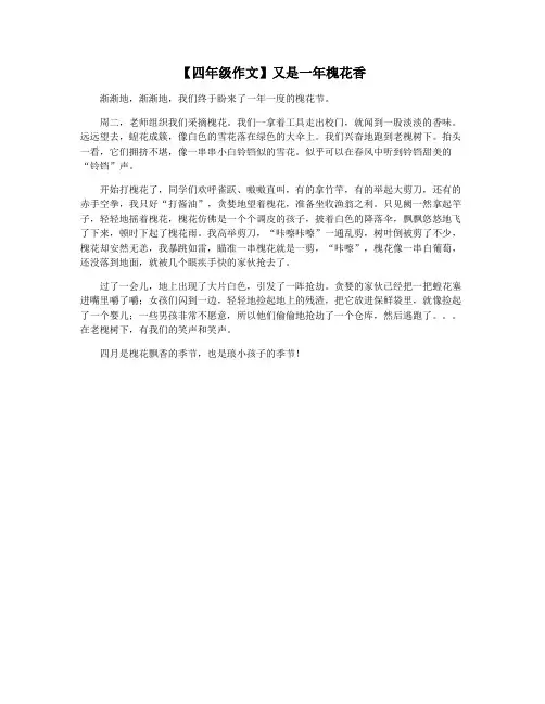 【四年级作文】又是一年槐花香