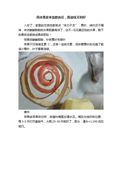 用水果皮来沤肥养花，既省钱又利好