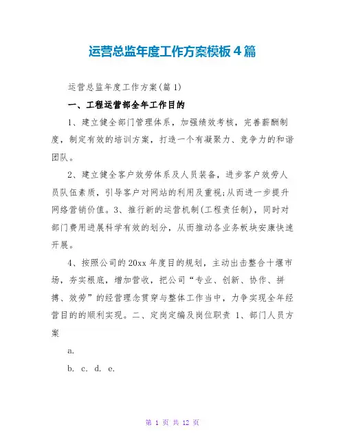 运营总监年度工作计划模板4篇