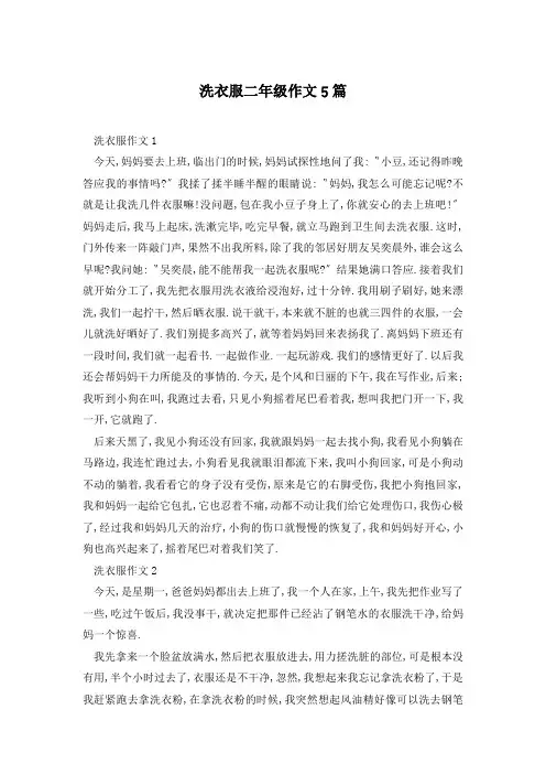 洗衣服二年级作文5篇