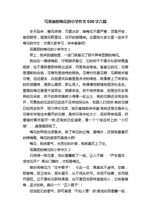 写美丽的梅花的小学作文500字六篇