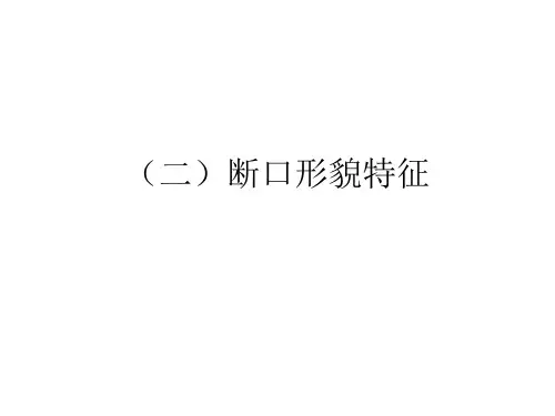 断口形貌特征