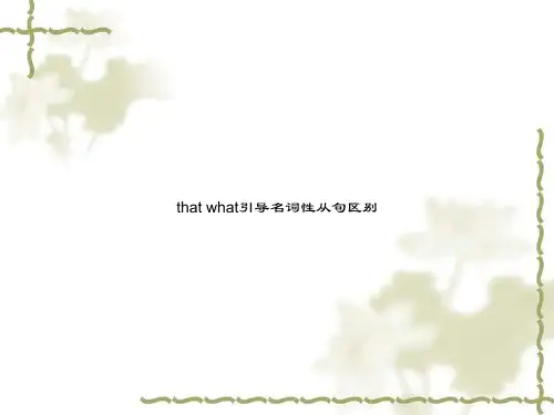that what引导名词性从句区别
