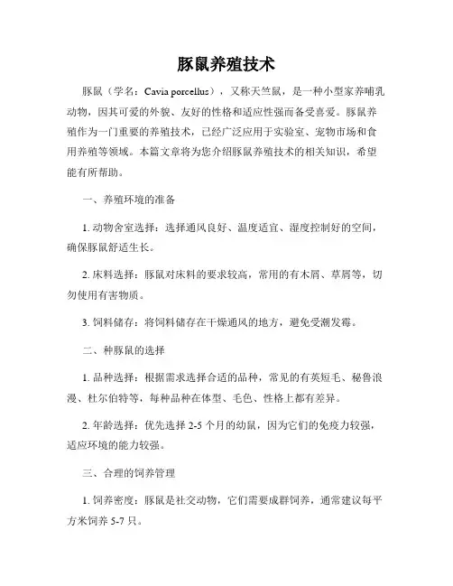 豚鼠养殖技术