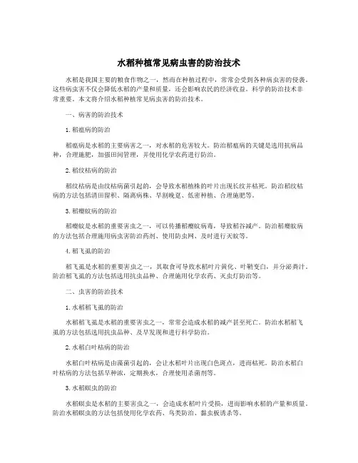 水稻种植常见病虫害的防治技术