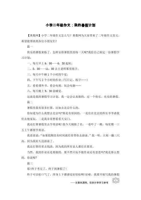 小学二年级作文：我的暑假计划