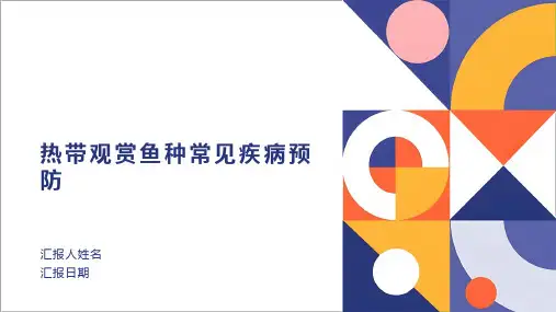 热带观赏鱼种常见疾病预防