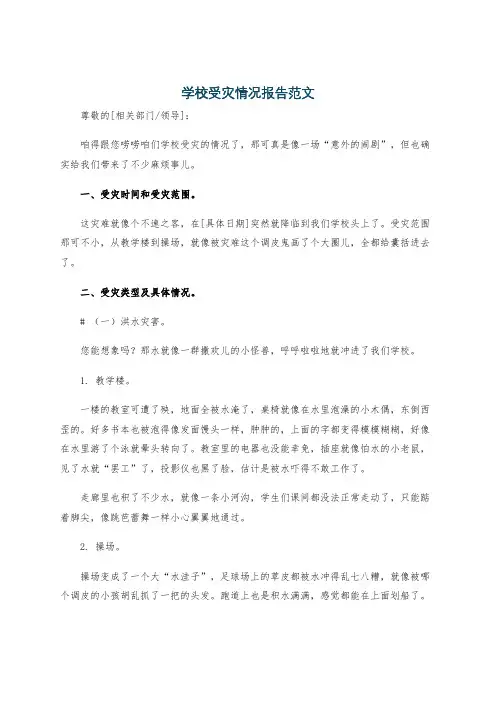 学校受灾情况报告范文