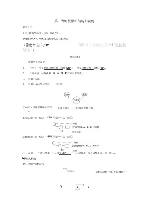 2018版高中生物苏教版必修1学案：2.2.3核酸的结构和功能